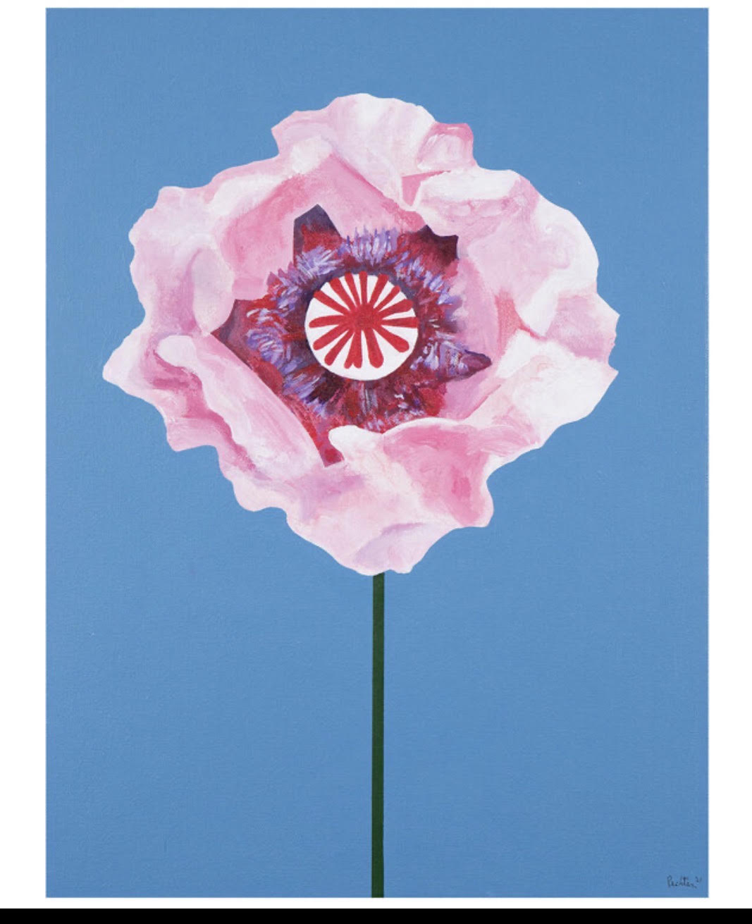 Poppy